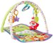 Fisher-Price 3-in-1 Musical Activity Gym